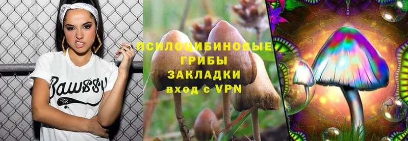 shop клад  гидра ТОР  Нолинск  Псилоцибиновые грибы Psilocybe 